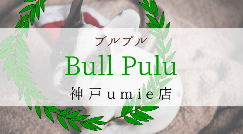 Bullpuluブルプル兵庫神戸umieウミエ店