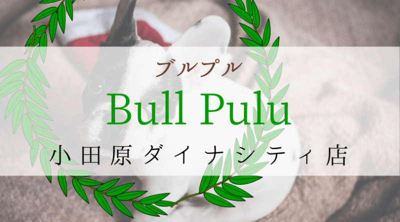 Bullpullブルプル神奈川小田原ダイナシティ店