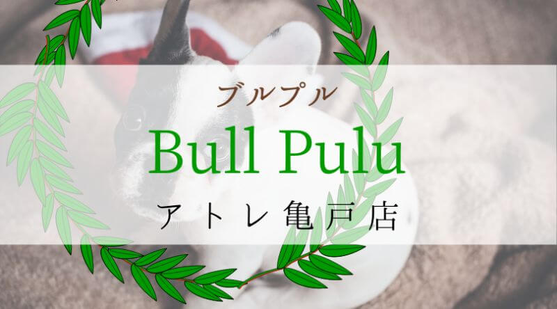Bullpullブルプル東京江東アトレ亀戸店