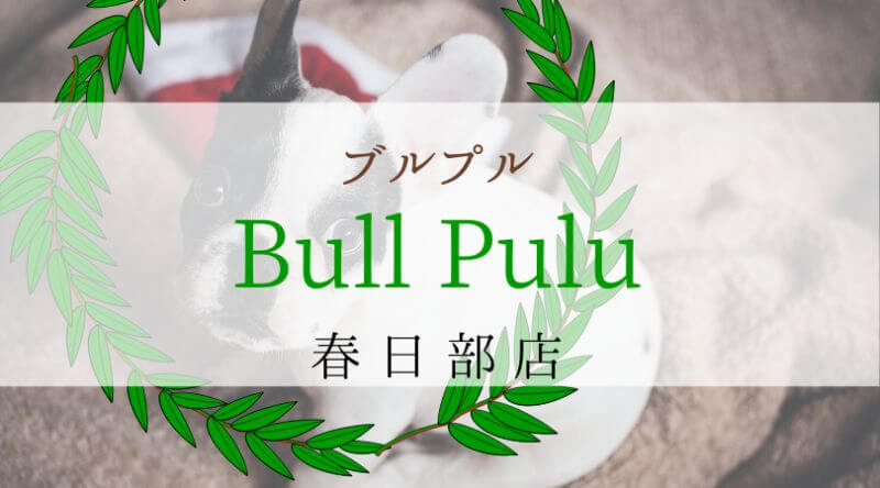 Bullpullブルプル埼玉春日部店