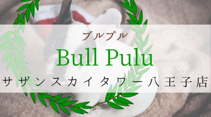 Bullpullブルプル東京サザンスカイタワー八王子店
