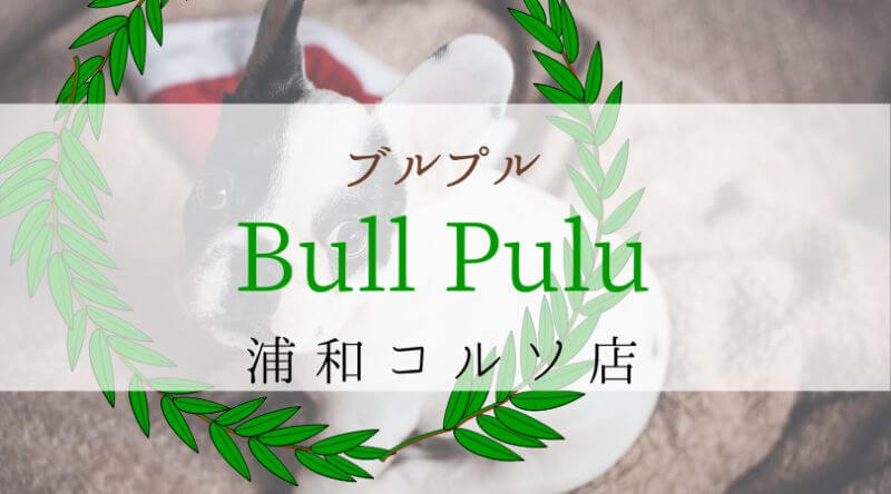 Bullpullブルプル埼玉浦和コルソ店