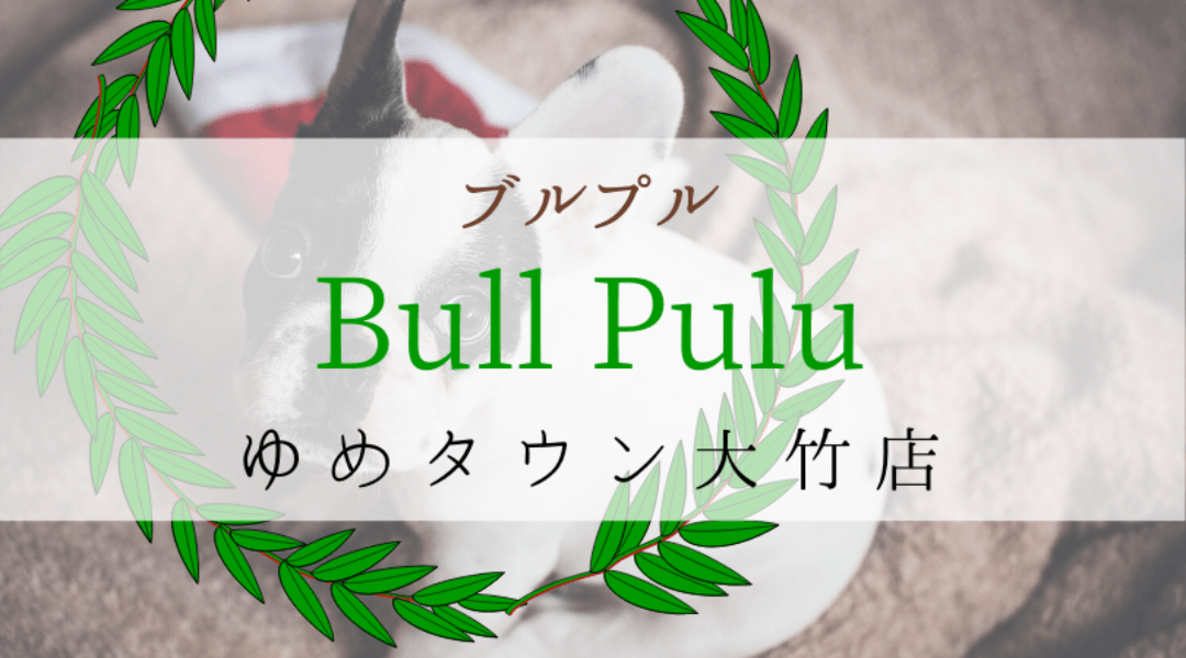 Bullpullブルプル広島ゆめタウン大竹店