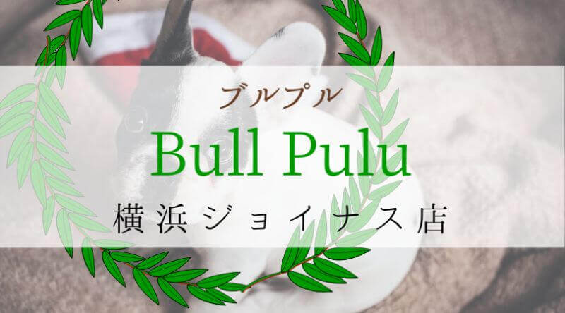 Bullpullブルプル神奈川横浜ジョイナス店